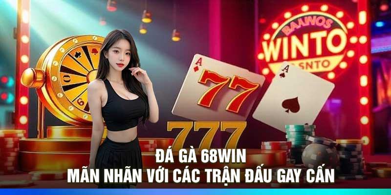 Đá Gà 68Win – Mãn Nhãn Với Các Trận Đấu Gay Cấn